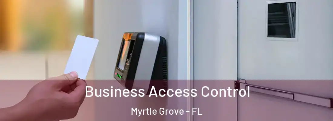 Business Access Control Myrtle Grove - FL