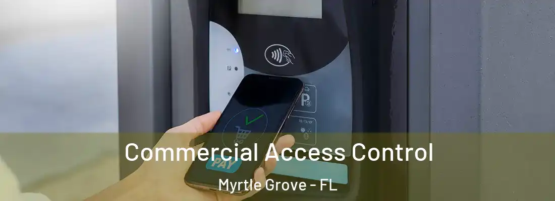 Commercial Access Control Myrtle Grove - FL