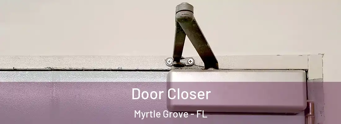 Door Closer Myrtle Grove - FL
