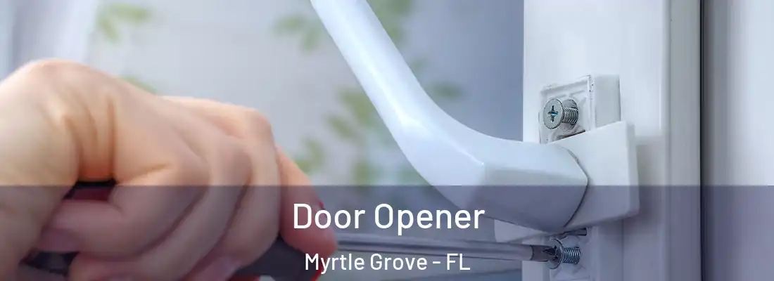Door Opener Myrtle Grove - FL