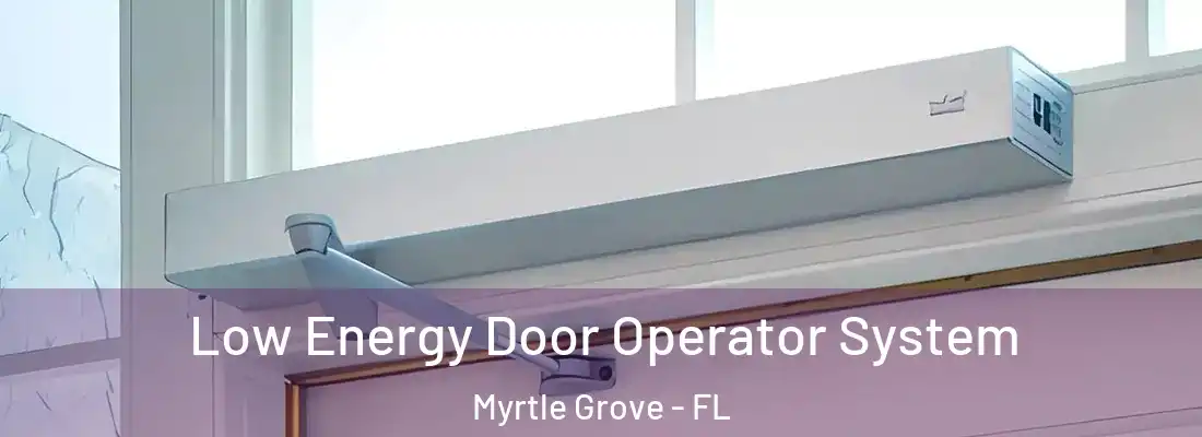 Low Energy Door Operator System Myrtle Grove - FL